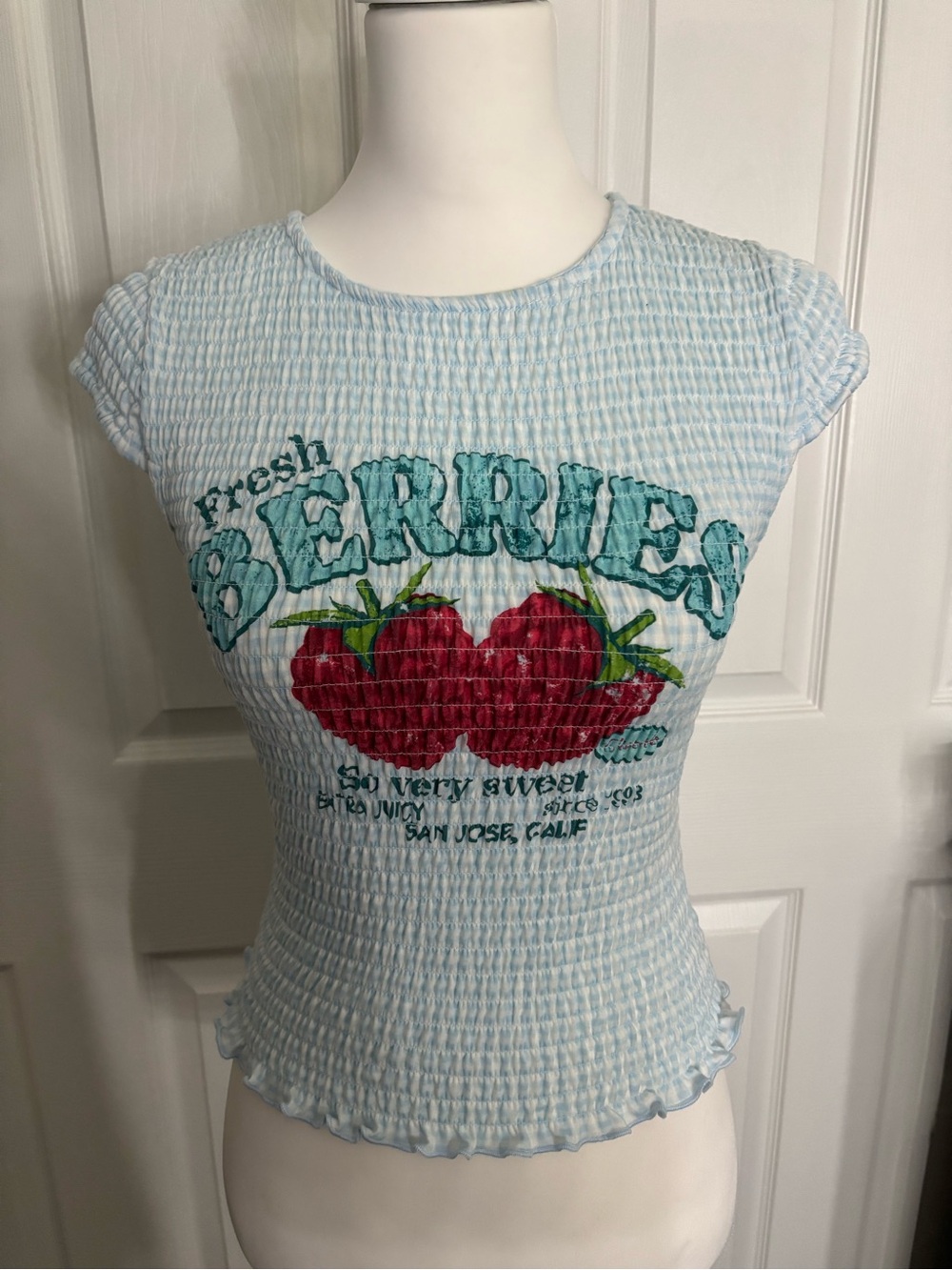 Wild Fable Light Blue Smocked Strawberry Graphic Cap Sleeve T-Shirt Size S